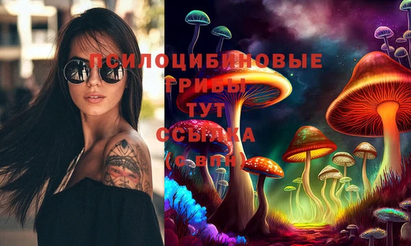 apvp Алексин