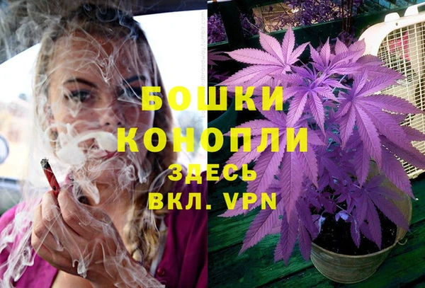 Альфа ПВП Новозыбков