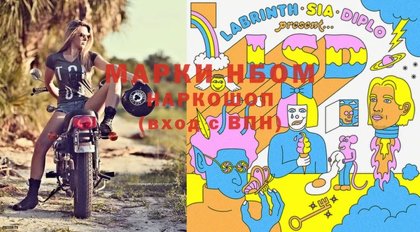 мдпв Алзамай