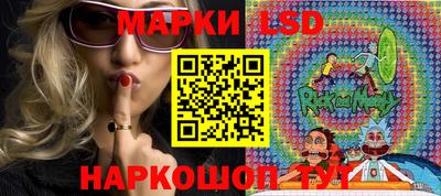молекула духа Гатчина