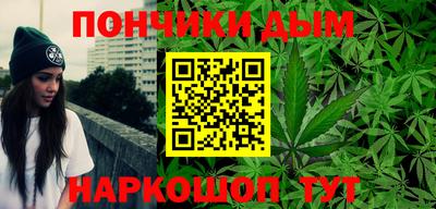 крисы Гагарин