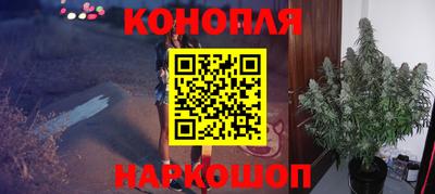 крисы Гагарин