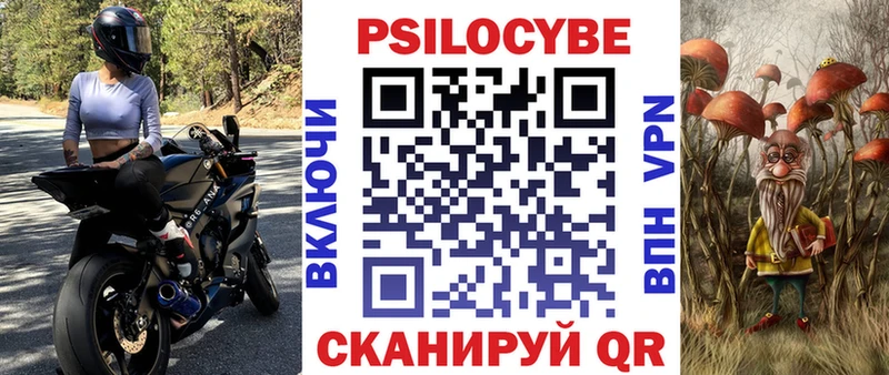 где найти   Нижний Новгород  Псилоцибиновые грибы MAGIC MUSHROOMS 
